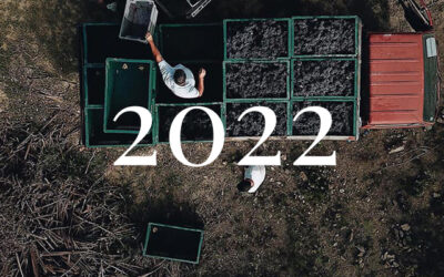 2022 Harvest